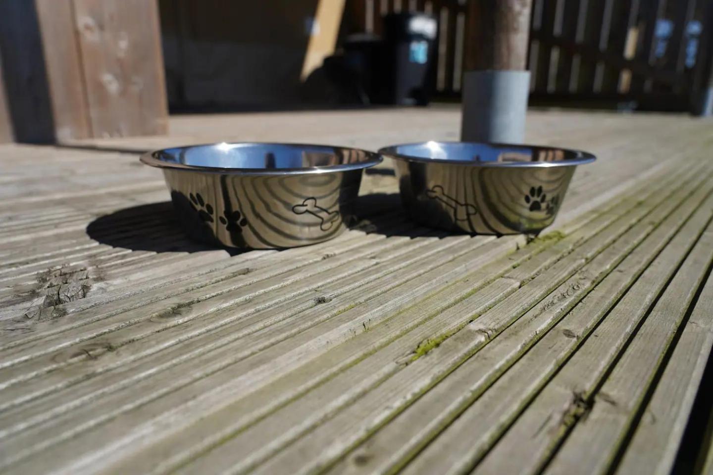Tente de luxe Glamping Met Bar En Prive Sanitair Voor 5 Personen Sneezy Behelp